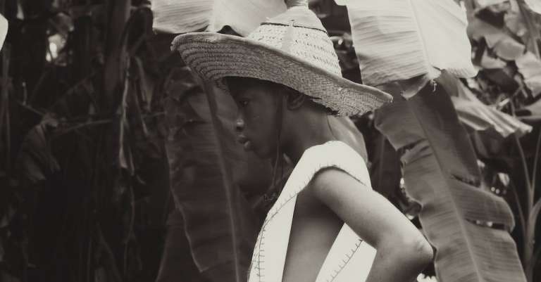 gratis-stockfoto-met-afrika-afrikaans-meisje-bladeren-1
