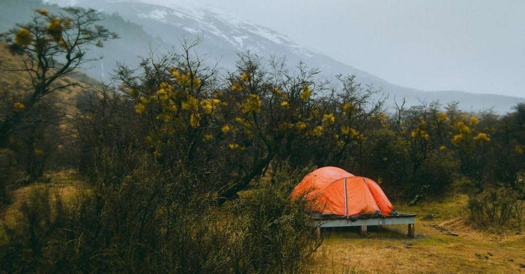 foto-van-tent-omringd-door-planten-4