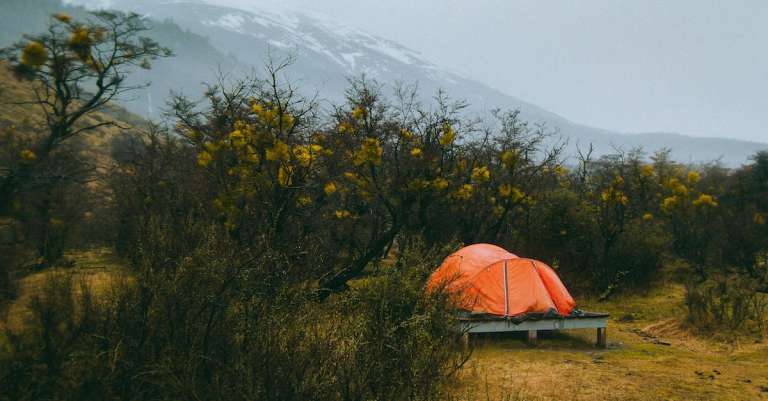 foto-van-tent-omringd-door-planten-6