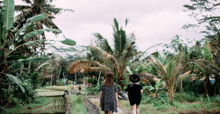 gratis-stockfoto-met-achteraanzicht-banaan-bomen