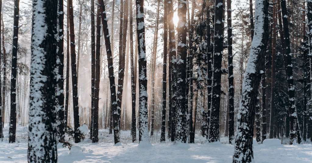 gratis-stockfoto-met-achtergrond-bedekt-berg-1