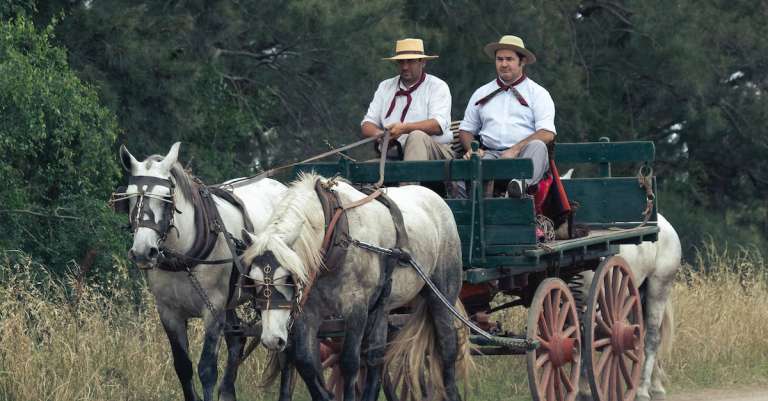 gratis-stockfoto-met-argentinie-boer-cowboys