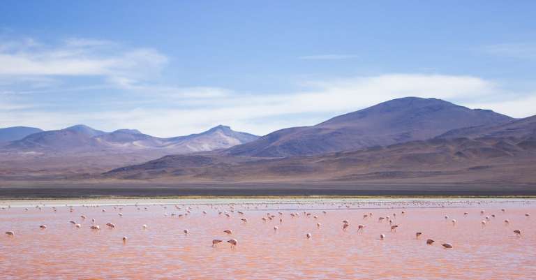 gratis-stockfoto-met-berg-uitzicht-bergen-bolivia