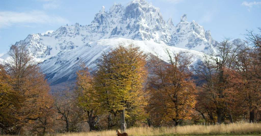 gratis-stockfoto-met-besneeuwd-besneeuwde-berg-bruin-paard
