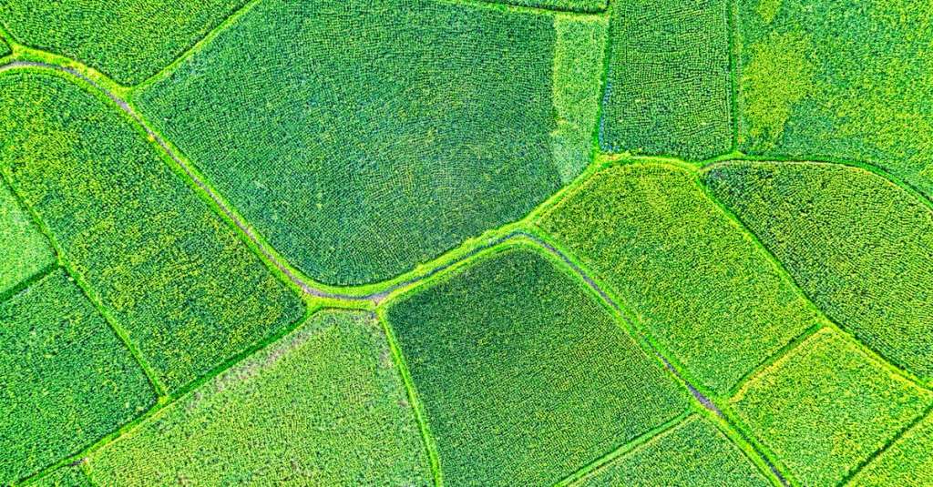 gratis-stockfoto-met-bovenaanzicht-drone-fotografie-dronefoto