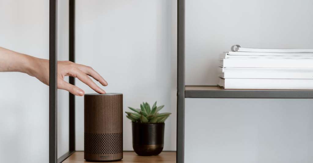 groene-plant-in-bruine-pot-op-bruine-houten-plank-2