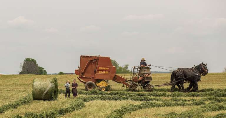 rode-en-zwarte-trekker-op-groen-grasveld