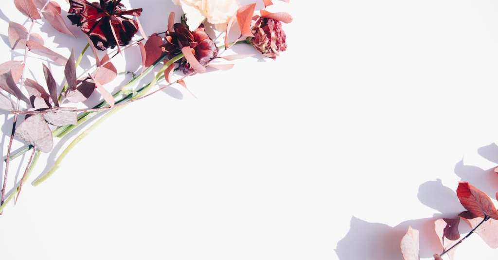 roze-en-witte-bloemen-op-witte-muur