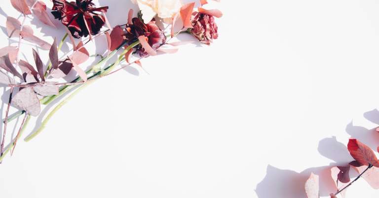 roze-en-witte-bloemen-op-witte-muur