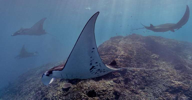 gratis-stockfoto-met-atlantische-oceaan-bali-blauwe-oceaan