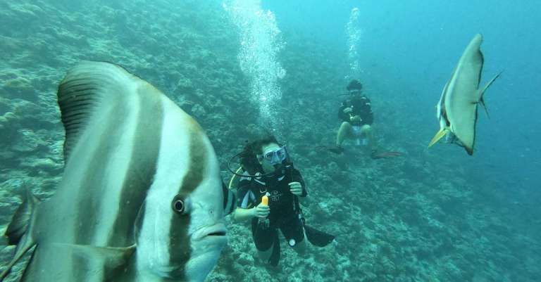gratis-stockfoto-met-bubbels-duiker-h2o-1