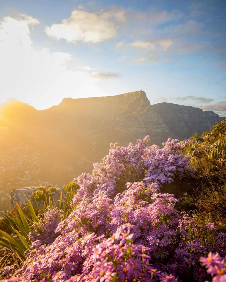 Bezienswaardigheden 2 Tafelberg