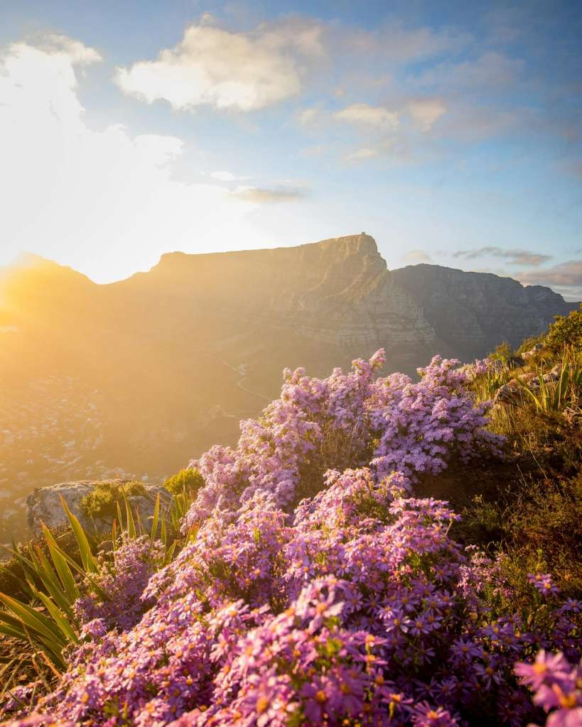 Tafelberg